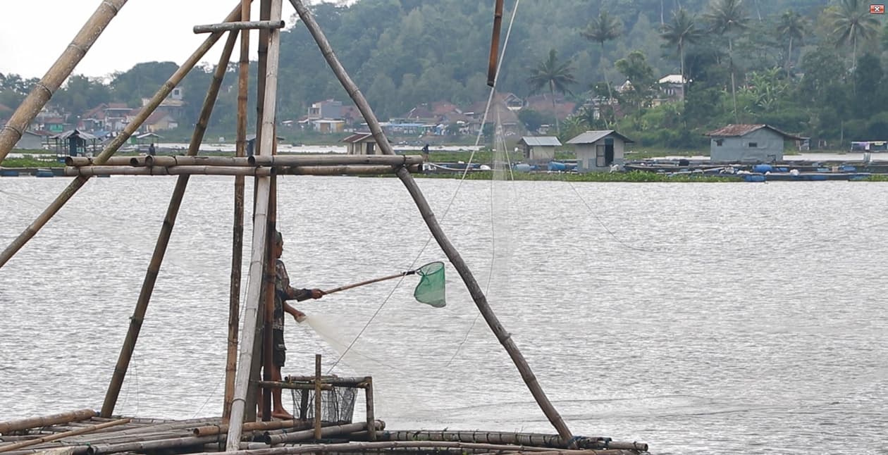 Jala Bunut