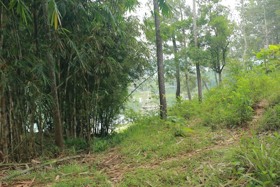 wisata image