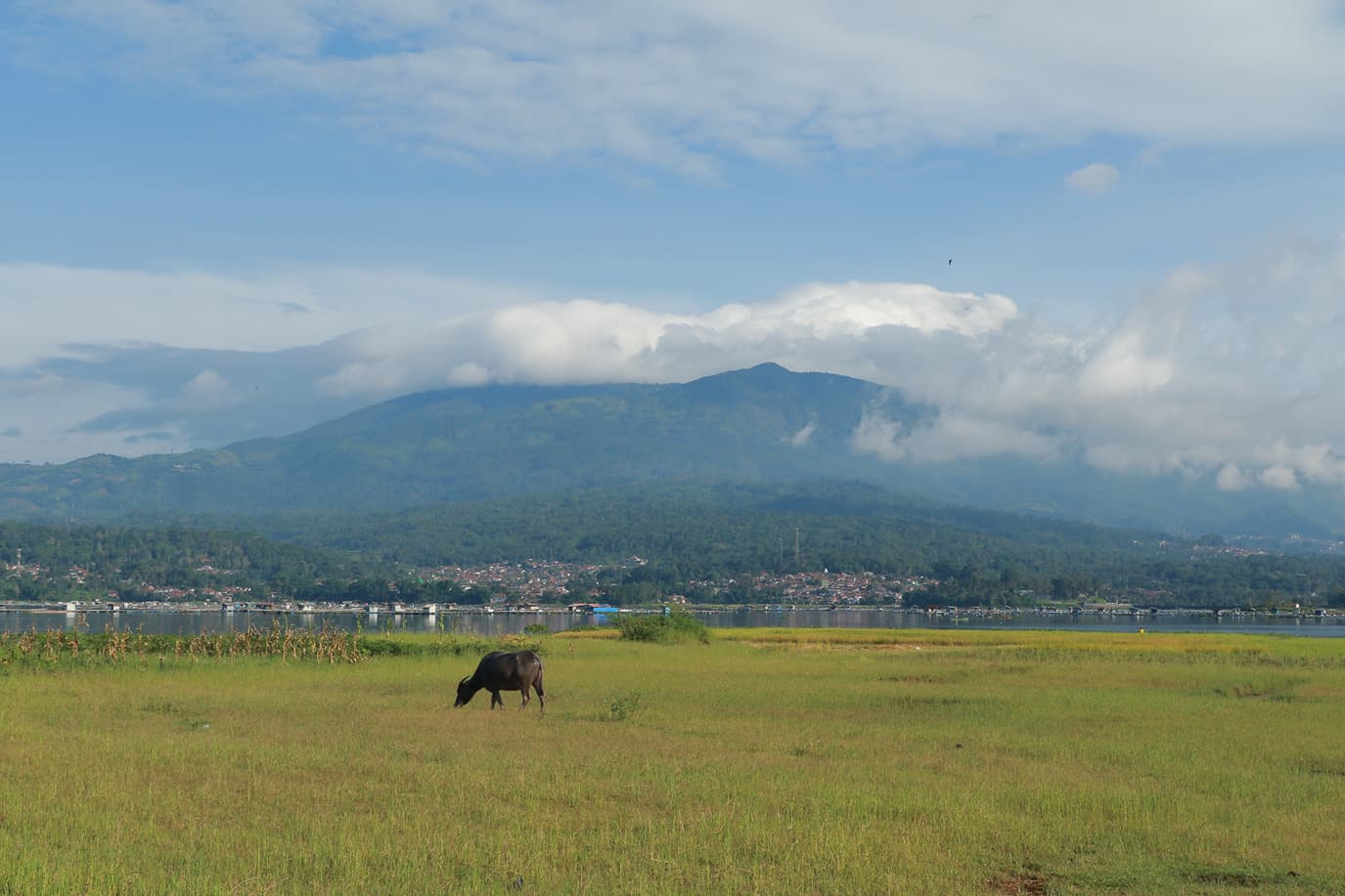 wisata image